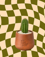 Og Cactus Plant