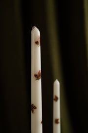 Pine Cone Whisper Taper Candle