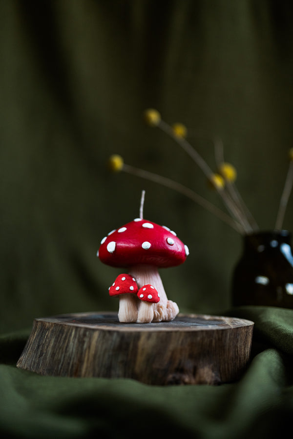 Mushroom Candle