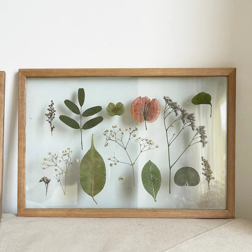 Pressed Flowers Frame