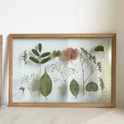 Pressed Flowers Frame
